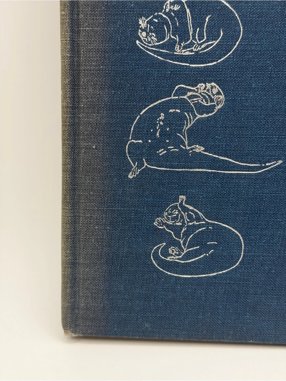 The Otter's Tale by Gavin Maxwell (Hardcover Book, 1962) First Edition